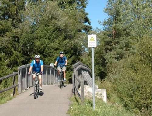 Viajes en Bicicleta por Selva Negra desde Friburgo, Alemania y SuizaDesde 679€