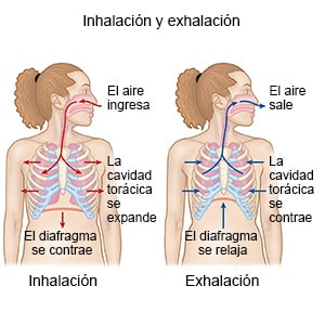 Inhalación y exhalación correctas